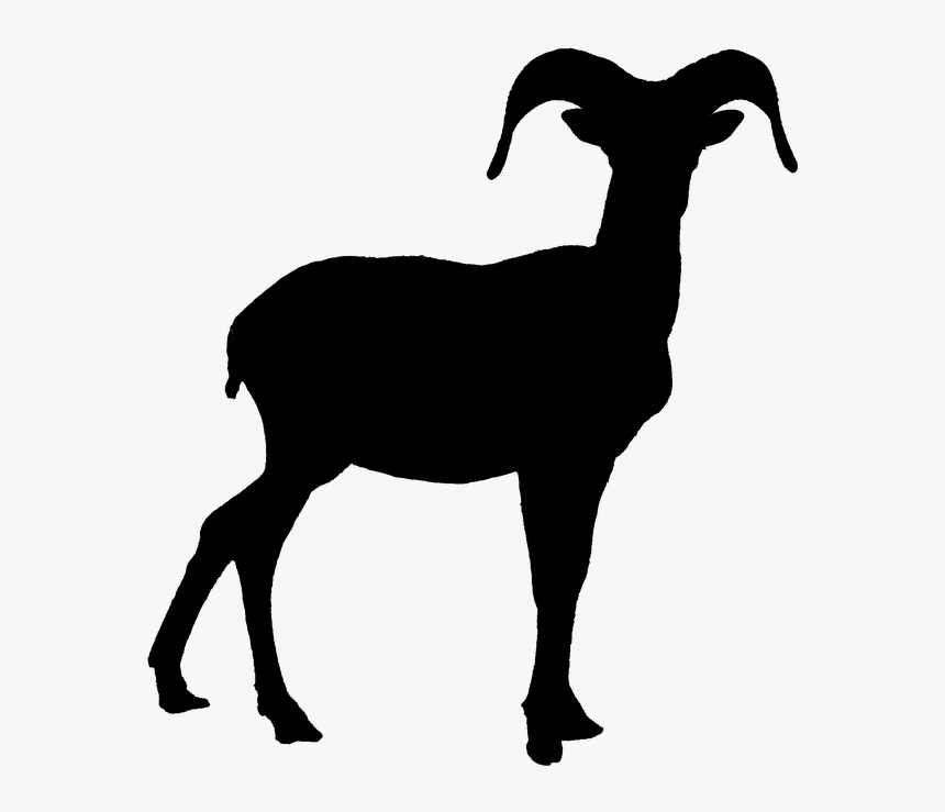 Goat Clipart Big Goat - Bighorn Sheep Black And White, HD Png Download, Free Download