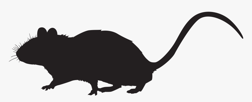 Rat Mouse Whiskers Rodent Clip Art - Mouse Silhouette Transparent, HD Png Download, Free Download