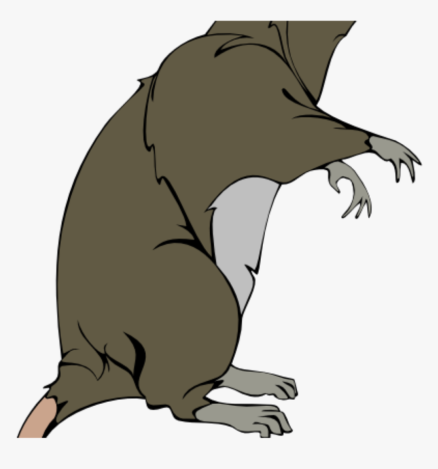 Rat Clipart Rat Clip Art Free Clipart Panda Free Clipart - Rat Clipart, HD Png Download, Free Download