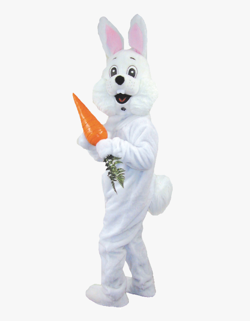 Real Easter Bunny Png - Easter Bunny Costume Png, Transparent Png, Free Download