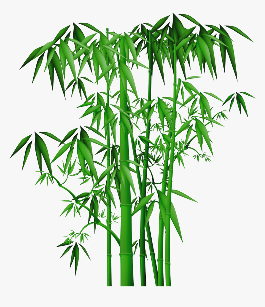 Transparent Black Bamboo Clipart - Chinese Bamboo Png, Png Download, Free Download