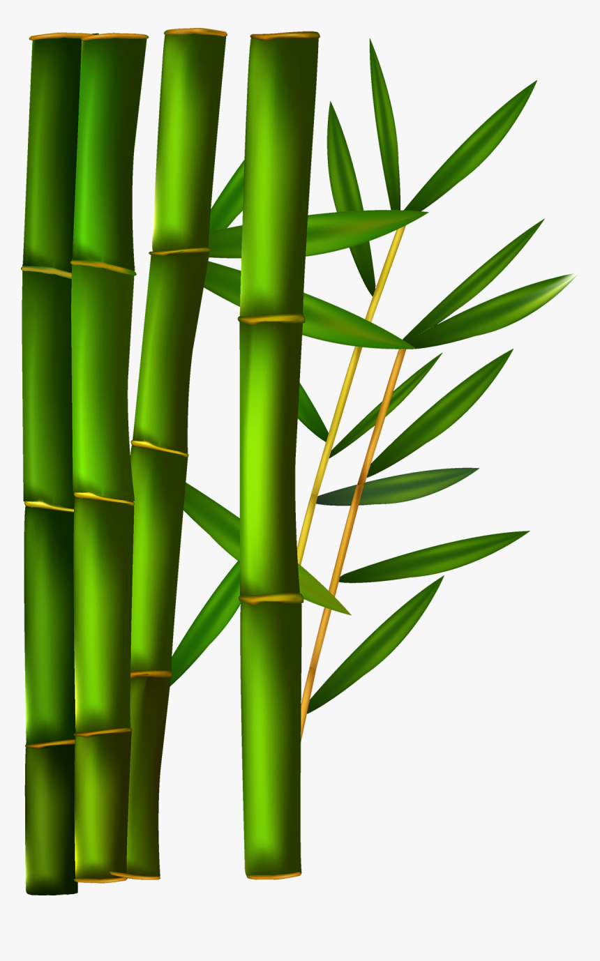 Bamboo Png - Transparent Background Bamboo Clipart, Png Download, Free Download