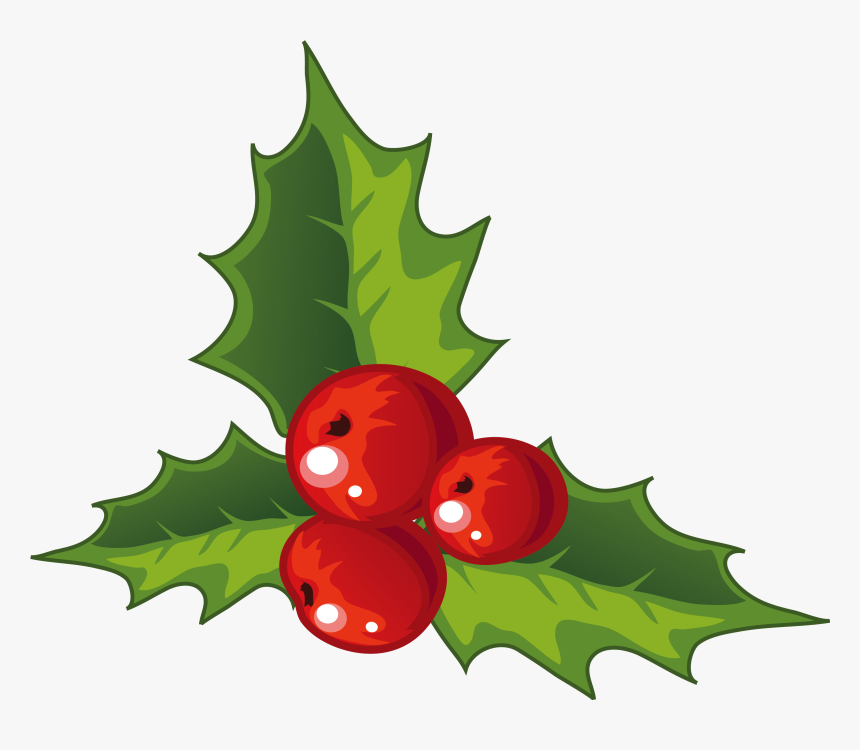 Holly Christmas Decoration - Transparent Background Holly Png, Png Download, Free Download