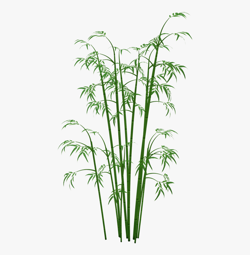 Bamboo Png - Bamboo Tree Transparent Background, Png Download, Free Download