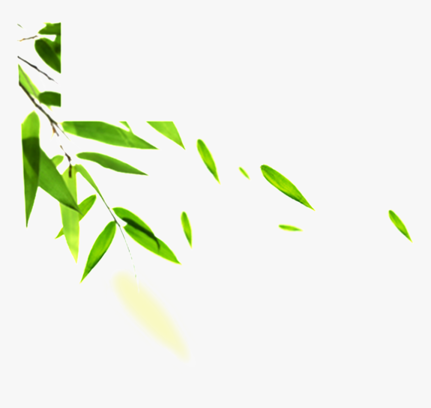 Hand Painted Bamboo Leaves Hd Png - Leaf Images Hd Png, Transparent Png, Free Download