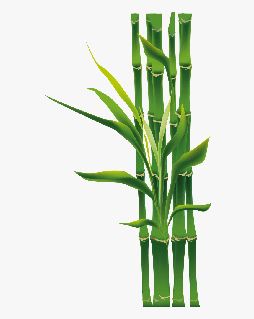 Free Download Bamboo Png Clipart Tropical Woody Bamboos - Bamboo Png, Transparent Png, Free Download