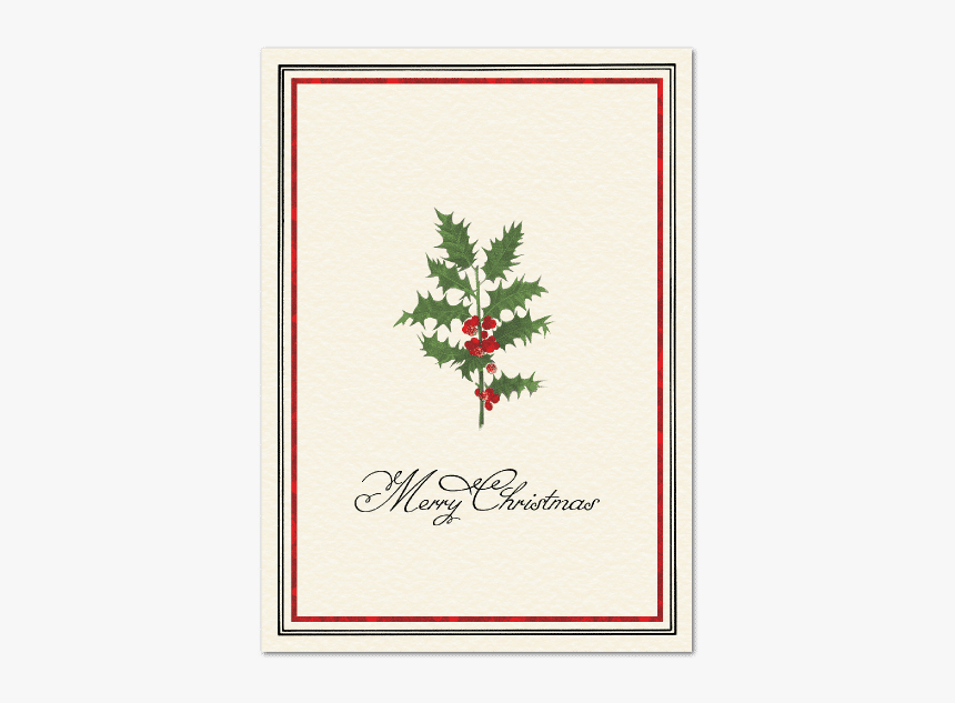 American Holly, HD Png Download, Free Download