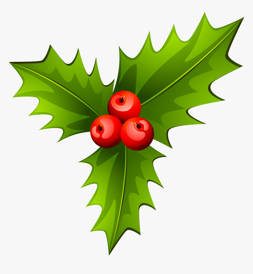 Holly Christmas Tree Plant, HD Png Download - kindpng