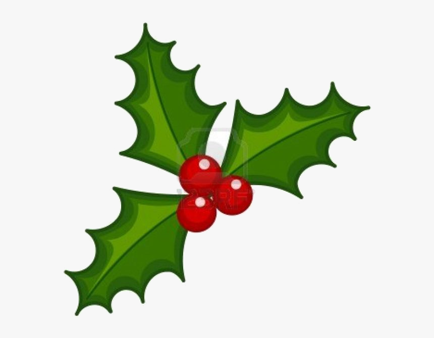 Holly Leaf X Christmas And Ivy Decorations Lights Card - Clip Art Holly And Berries, HD Png Download, Free Download