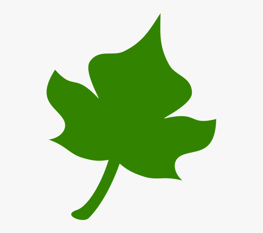 Ivy - Yaprak Icon Png, Transparent Png, Free Download