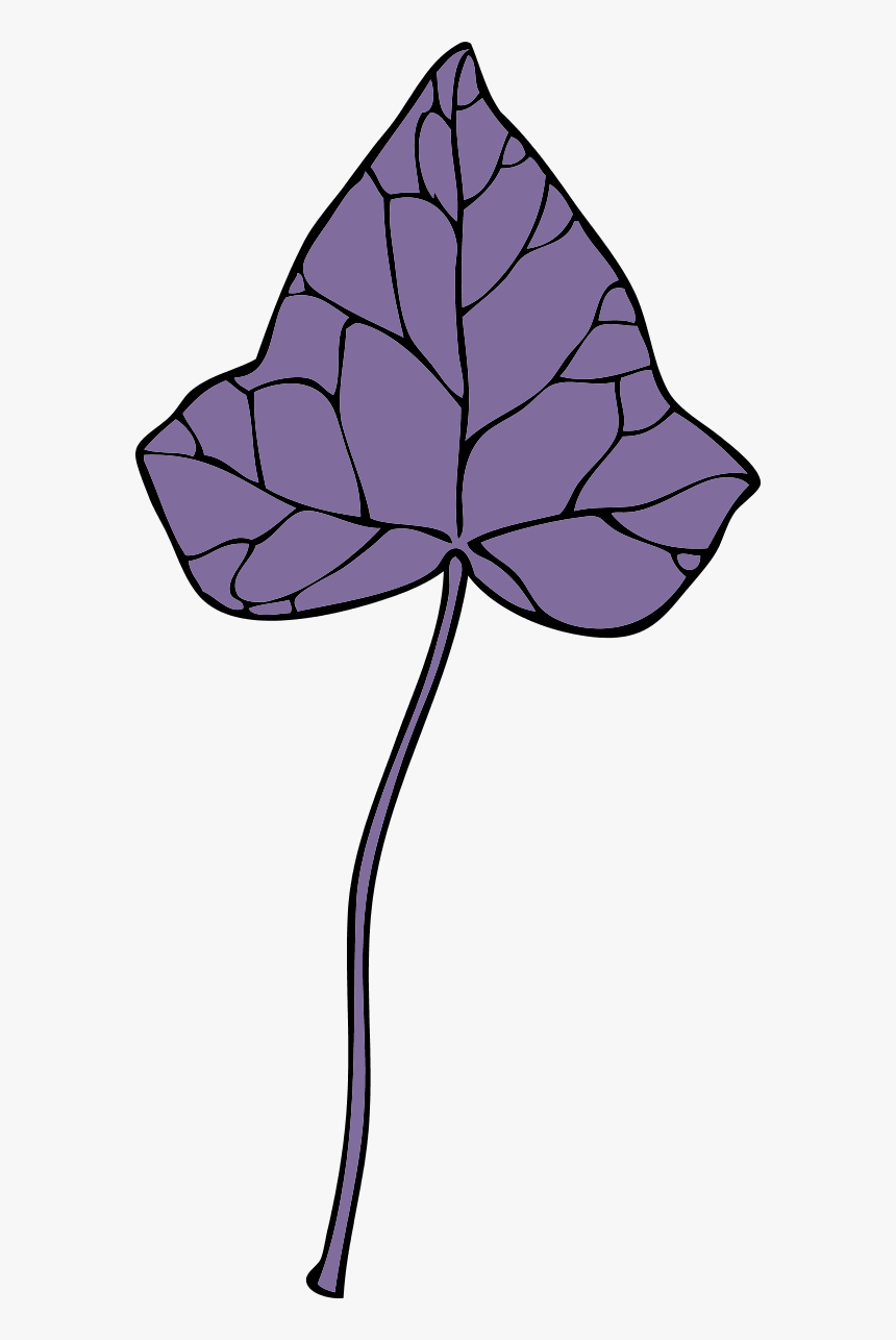 Large Ivy Leaf 7 0 7328 - Clip Art, HD Png Download, Free Download