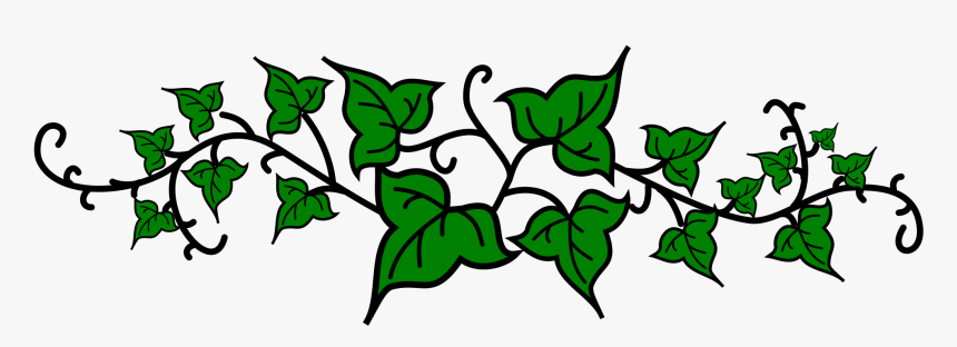 File Lierre Wikimedia Commons - Ivy Clipart, HD Png Download, Free Download