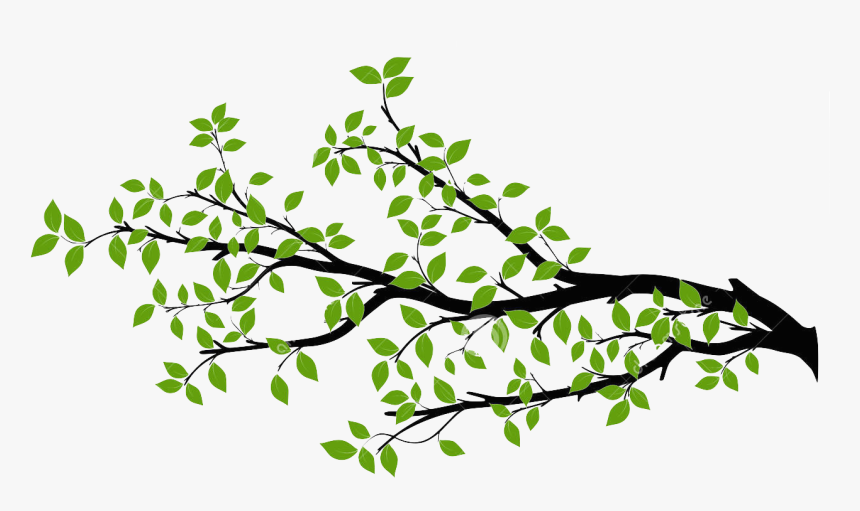 Branch Tree Drawing Royalty-free - Tree Branch Vector Png, Transparent Png, Free Download