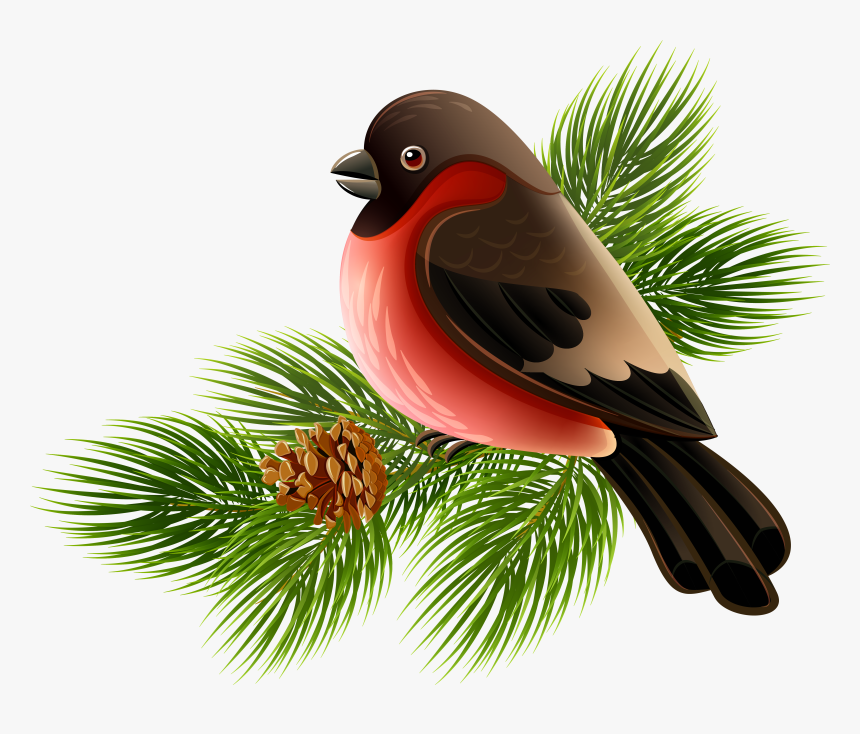 Bird Clip Art - Portable Network Graphics, HD Png Download, Free Download