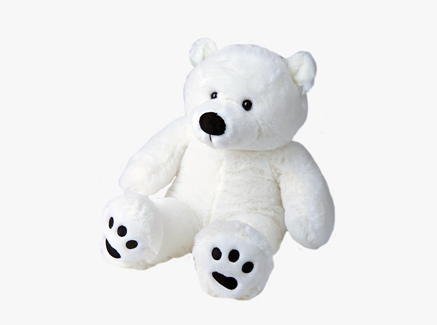 Polar Bear Teddy Png, Transparent Png, Free Download