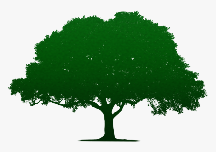 Tree Silhouette Vector Png, Transparent Png, Free Download