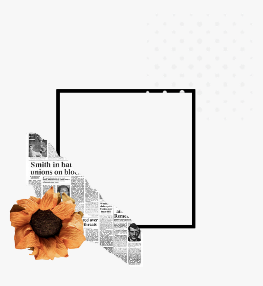 Overlay, Png, And Transparent Image - Png Tumblr Cuadro, Png Download ...