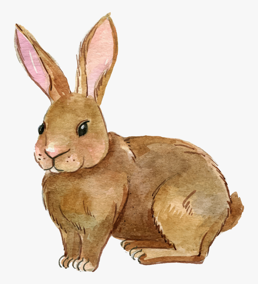 Clip Art Portable Network Graphics European Rabbit - Rabbit Clipart Png, Transparent Png, Free Download