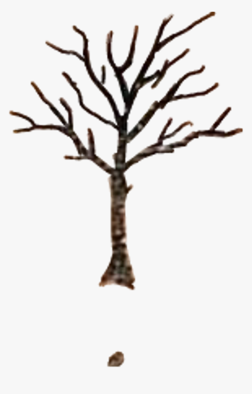 #rip #xxxtentacion #tattoo #xxxtentaction #treeoflife - Xxxtentacion Tree Tattoo Png, Transparent Png, Free Download