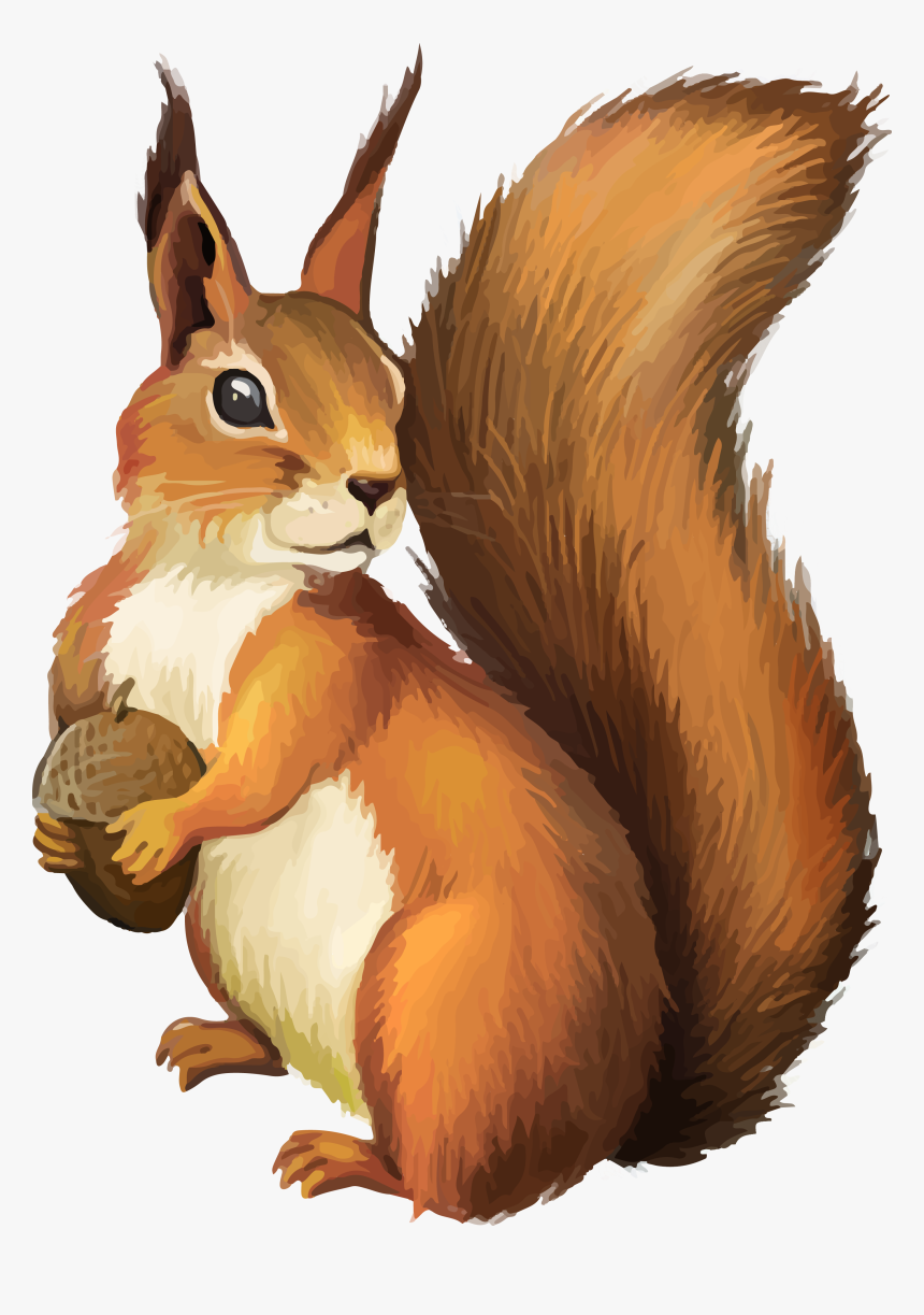 Squirrel Clip Art - Clipart Squirrel Png, Transparent Png, Free Download