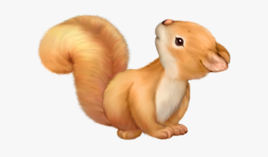 Squirrel Png Image Clipart - Cute Squirrel Clipart, Transparent Png, Free Download