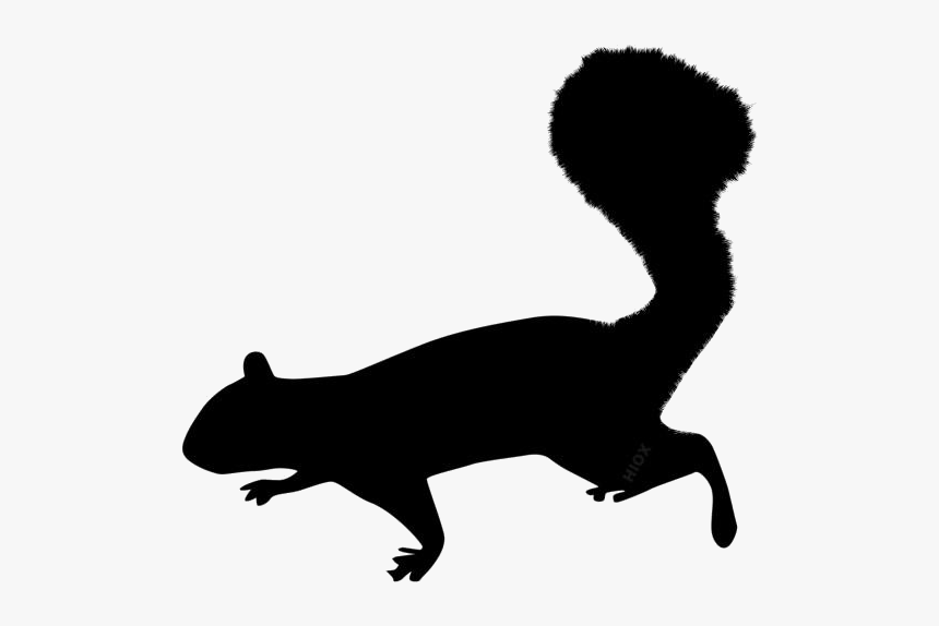 Squirrel Png Transparent Images - Eastern Grey Squirrel Silhouette, Png Download, Free Download