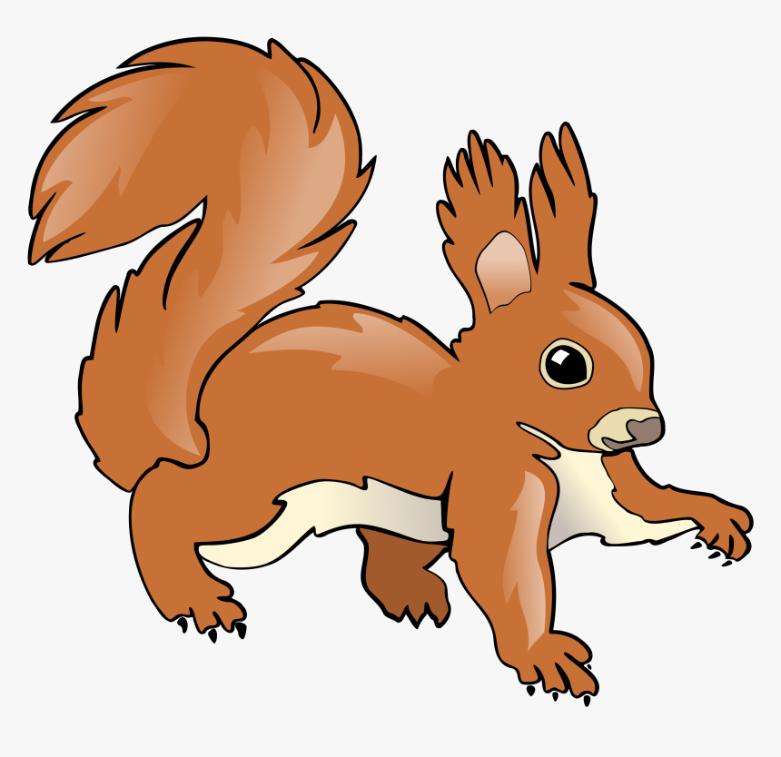Snout,wildlife,squirrel - Squirrel Rabbit Clipart, HD Png Download, Free Download