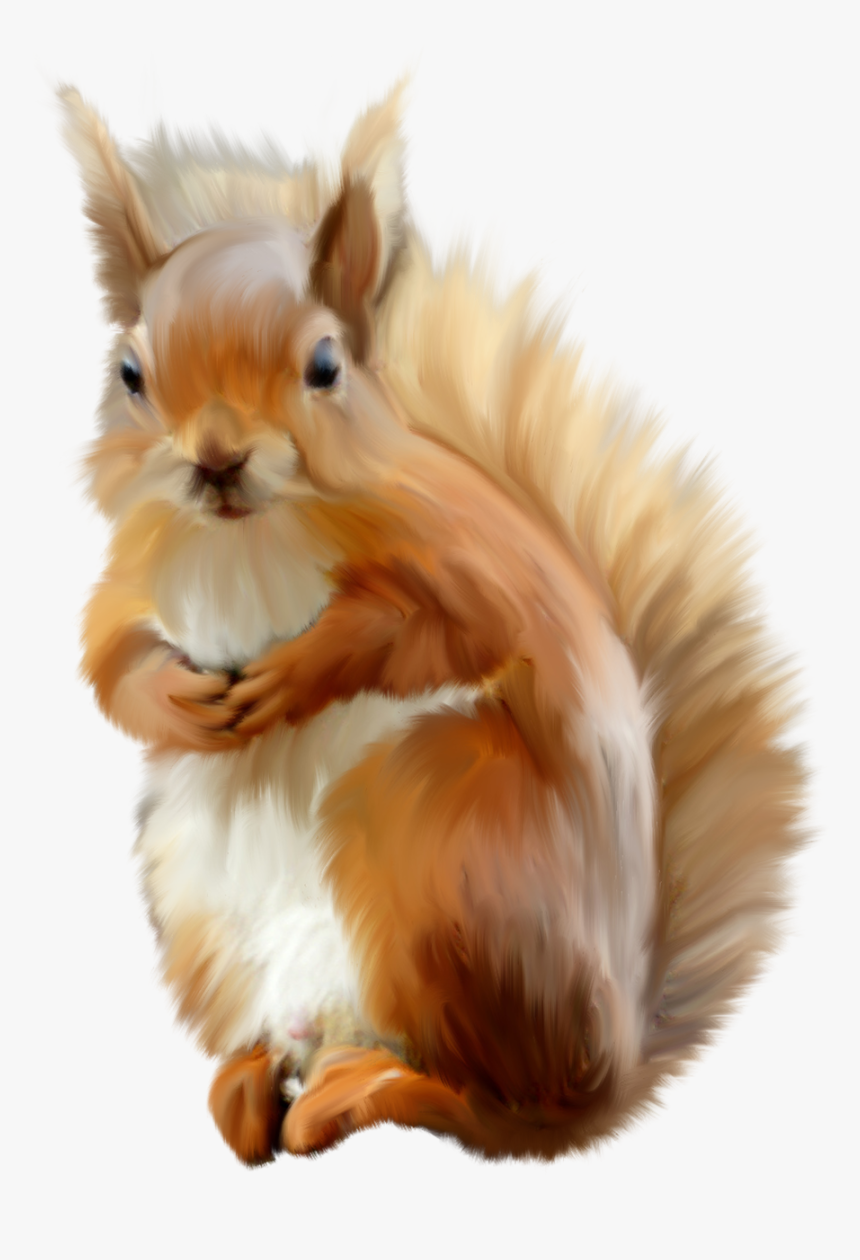 Animales Infantiles Png - Red Squirrel Nuts Transparent Background, Png Download, Free Download