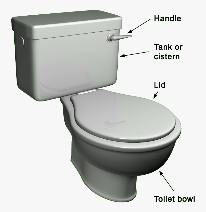 Choosing The Right Toilet For You - Outside Parts Of A Toilet, HD Png Download, Free Download