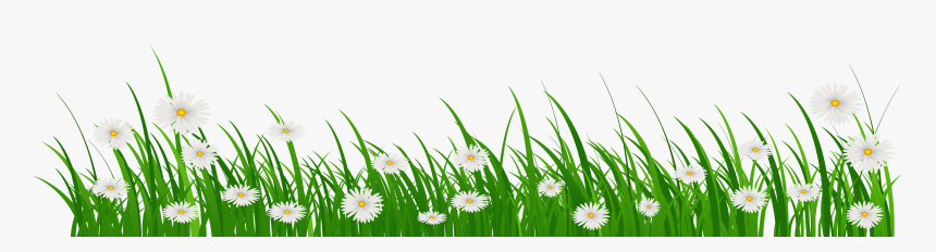 Grass With Flower Png, Transparent Png, Free Download