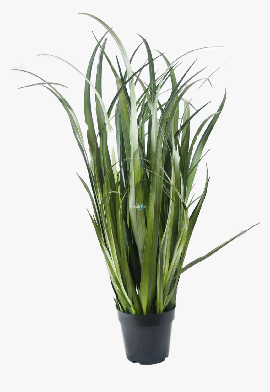 Fake Dense Grass Plant - Fake Plant Png, Transparent Png, Free Download