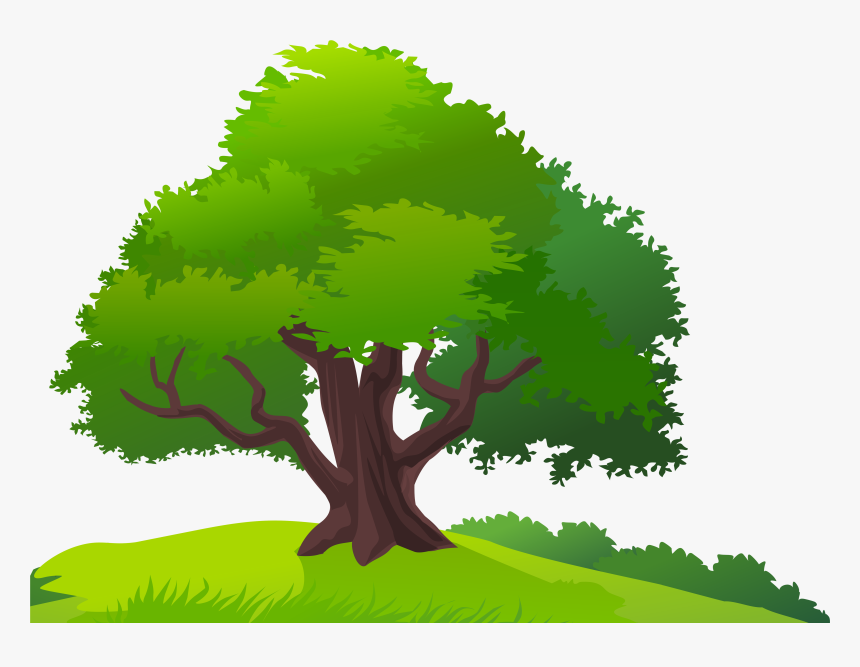 Collection Of Tree - Mango Tree Clipart Png, Transparent Png, Free Download