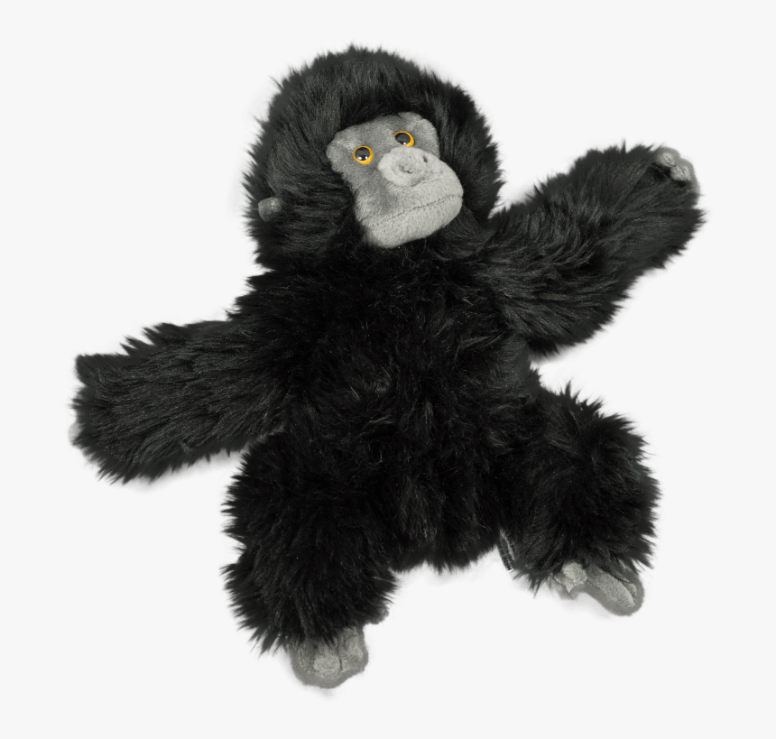 Baby Gorilla Png Transparent, Png Download, Free Download