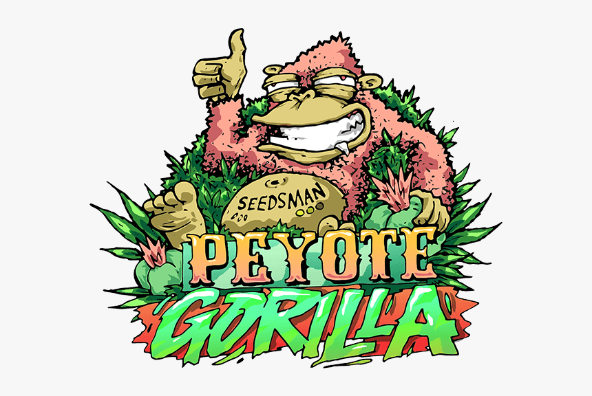 Peyote Gorilla Feminised Seeds"
 Title="peyote Gorilla - Cartoon, HD Png Download, Free Download