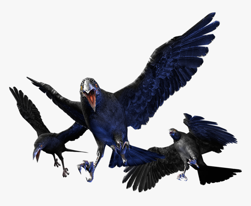 Crow Clipart Resident Evil - Resident Evil Remaster Crow, HD Png Download, Free Download