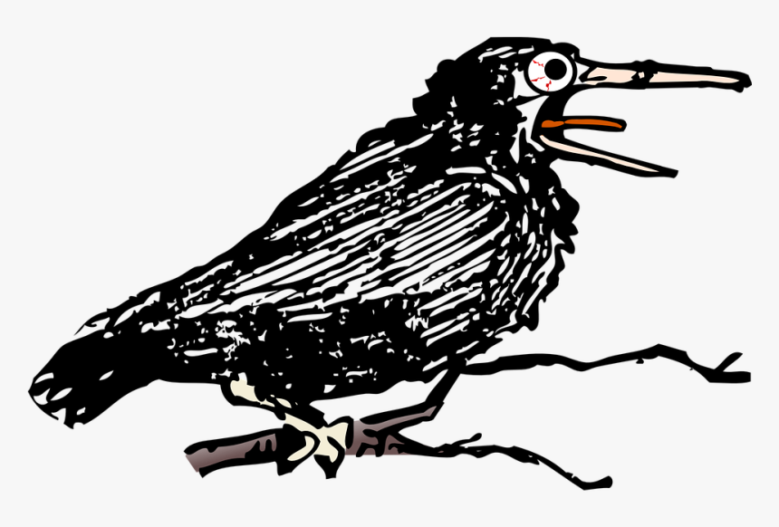 Crow, Alone, Bird, Black, Cawing, Croak, Croaking, - Krähe Krächzt, HD Png Download, Free Download