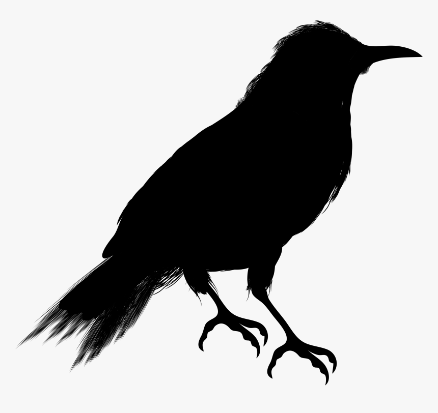 Crow Clip Art Vector Graphics Silhouette Image - Crow Clipart Silhouette, HD Png Download, Free Download