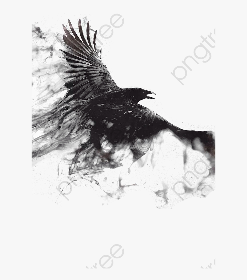 Transparent Crow Png - Crow Wallpaper Android, Png Download, Free Download