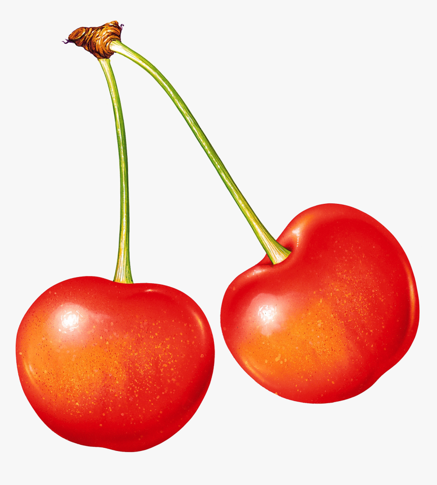 Now You Can Download Cherry Png Icon - Transparent Background Cherry Icon, Png Download, Free Download
