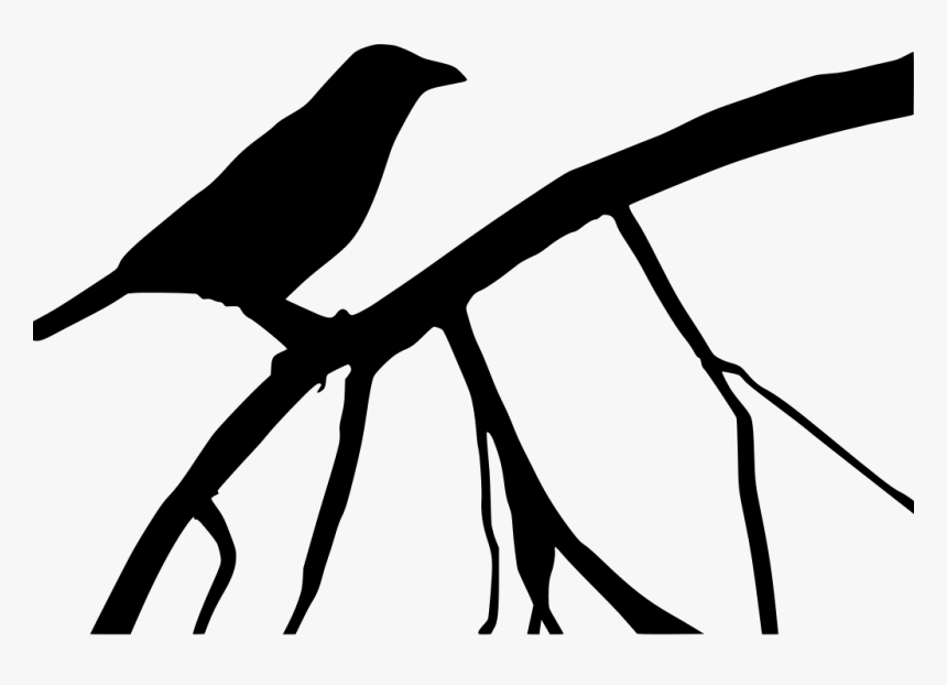 Halloween Crow Transparent Images - Crow On Tree Silhouette, HD Png Download, Free Download