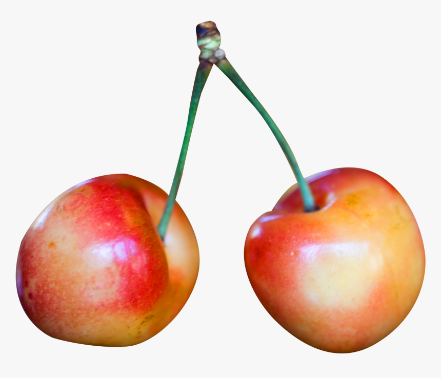 Rainier Cherries Png Image - Rainier Cherry Png, Transparent Png, Free Download