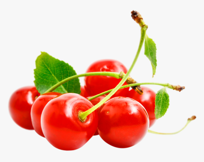 Now You Can Download Cherry Png In High Resolution - Вишні Png, Transparent Png, Free Download