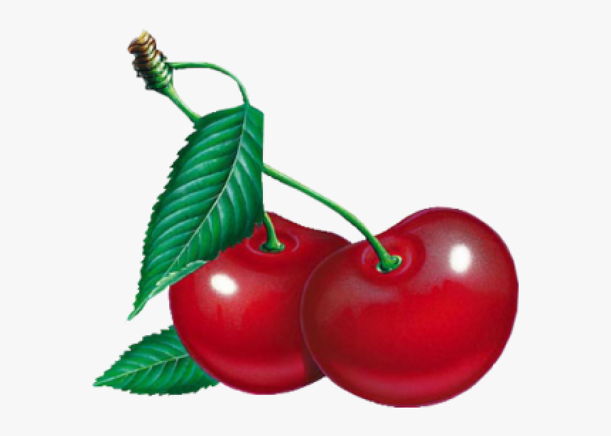 Cherry Png Free Download - Cherry Psd, Transparent Png, Free Download