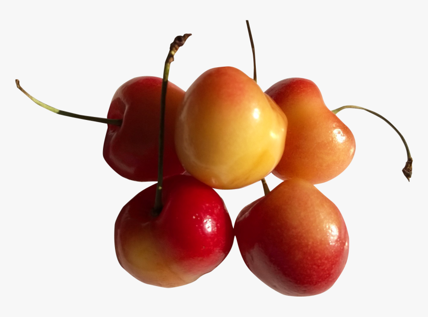 Rainier Cherry, HD Png Download, Free Download