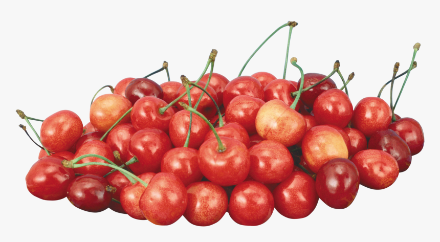 Red Cherry Png Image, Free Download - Acerola Cherry Png Transparente, Png Download, Free Download