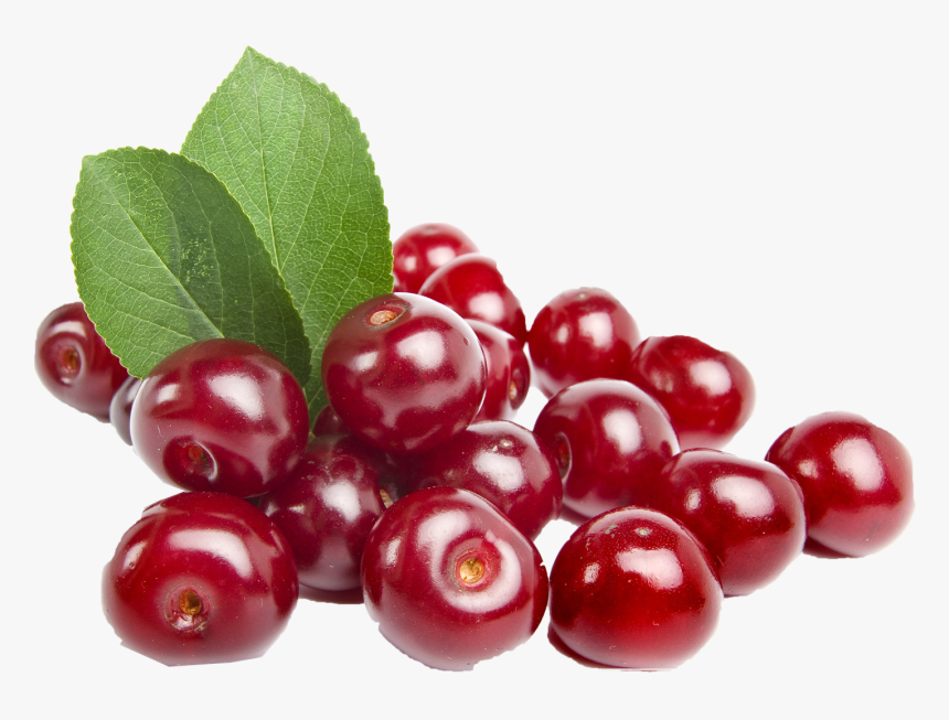 Cherry Png, Transparent Png, Free Download