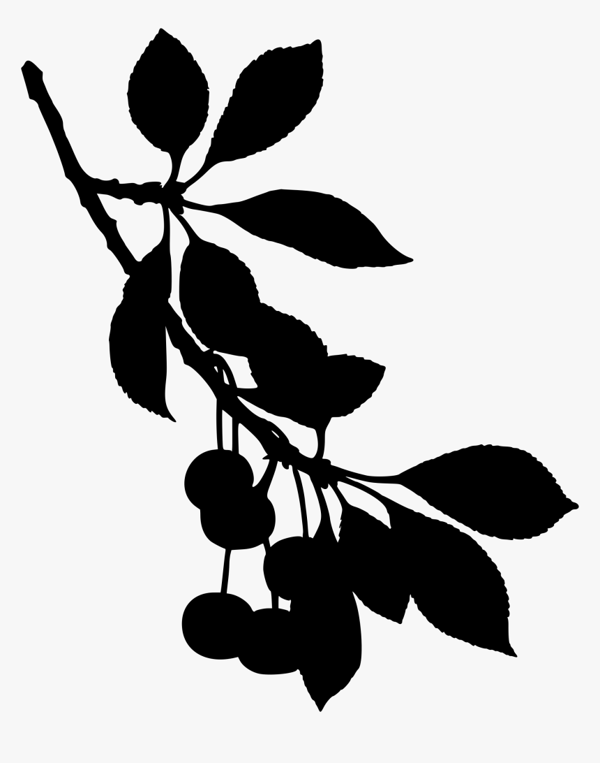 Sour Cherry Tree 2 Clip Arts - Tree Branch Silhouette Png, Transparent Png, Free Download