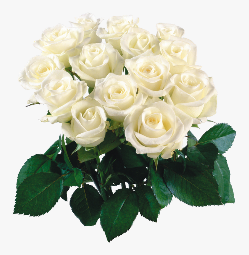 Bouquet Of Flowers White Flower Bokeh Png - White Flower Bokeh Png, Transparent Png, Free Download