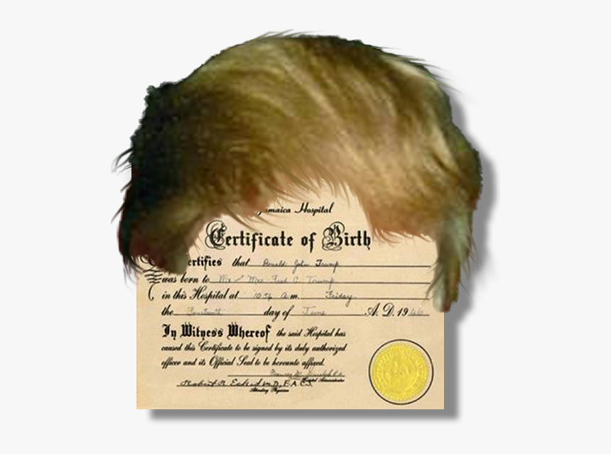 Donald Trump Hair Png Transparent - Fred Trump Birth Certificate, Png Download, Free Download
