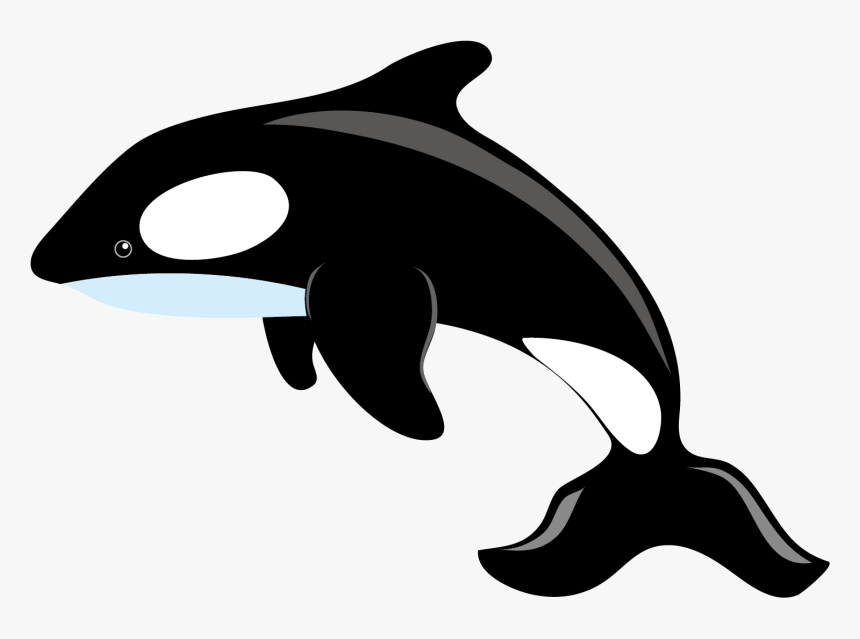 Killer Whale Blue Whale Clip Art - Killer Whale Clipart Png, Transparent Png, Free Download